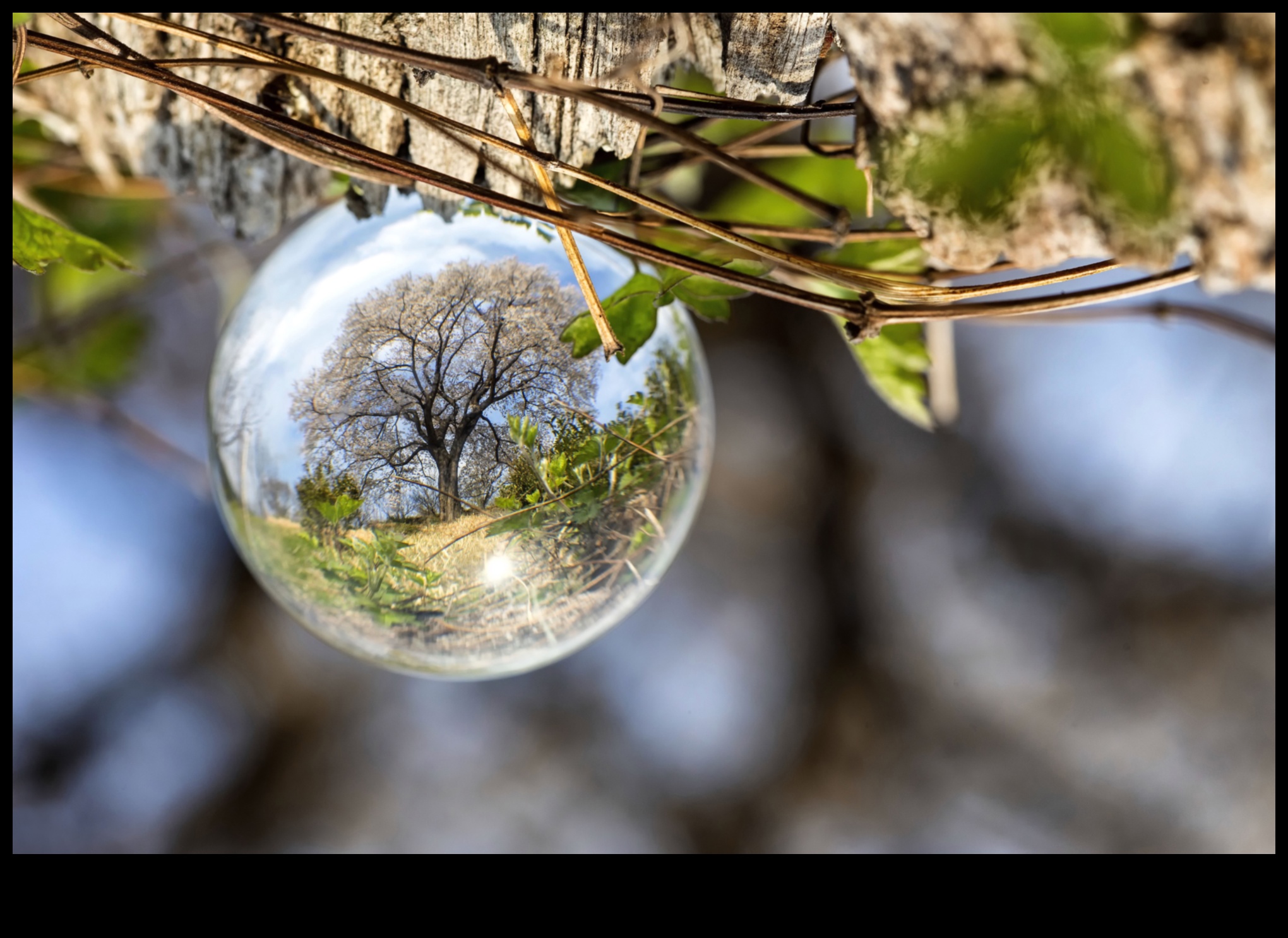 Joc de perspectivă: stăpânirea unghiurilor de fotografie creativă